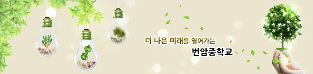 번암중학교