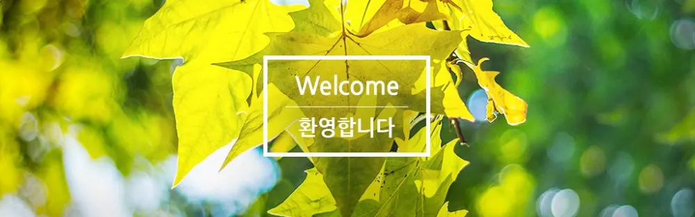 횡계장로교회