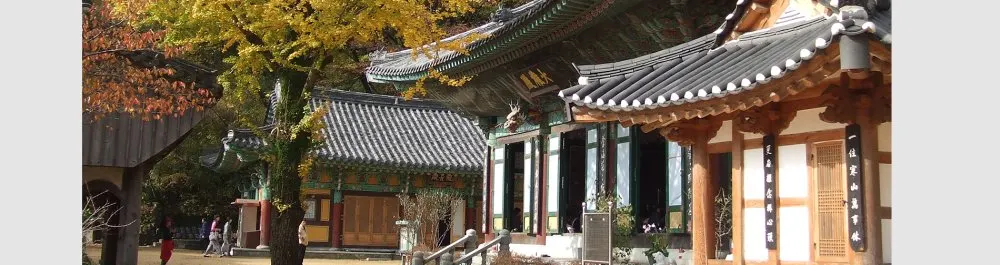 선암사