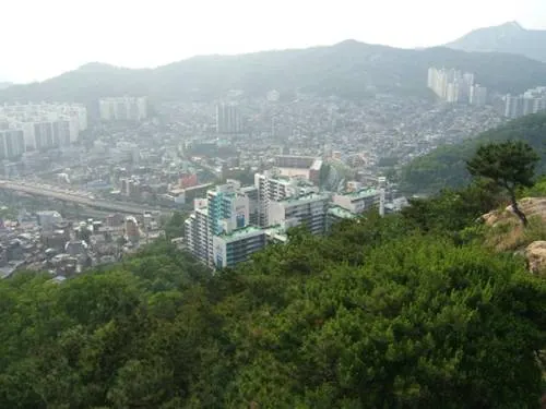불어나공인중개사사무소