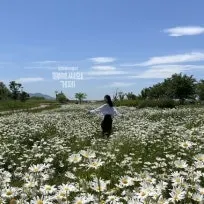 거제봄공인중개사사무소