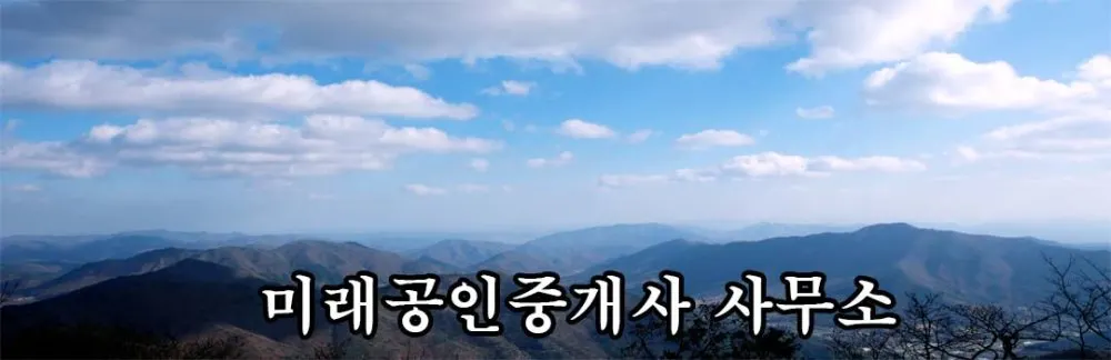 미래 공인중개사사무소