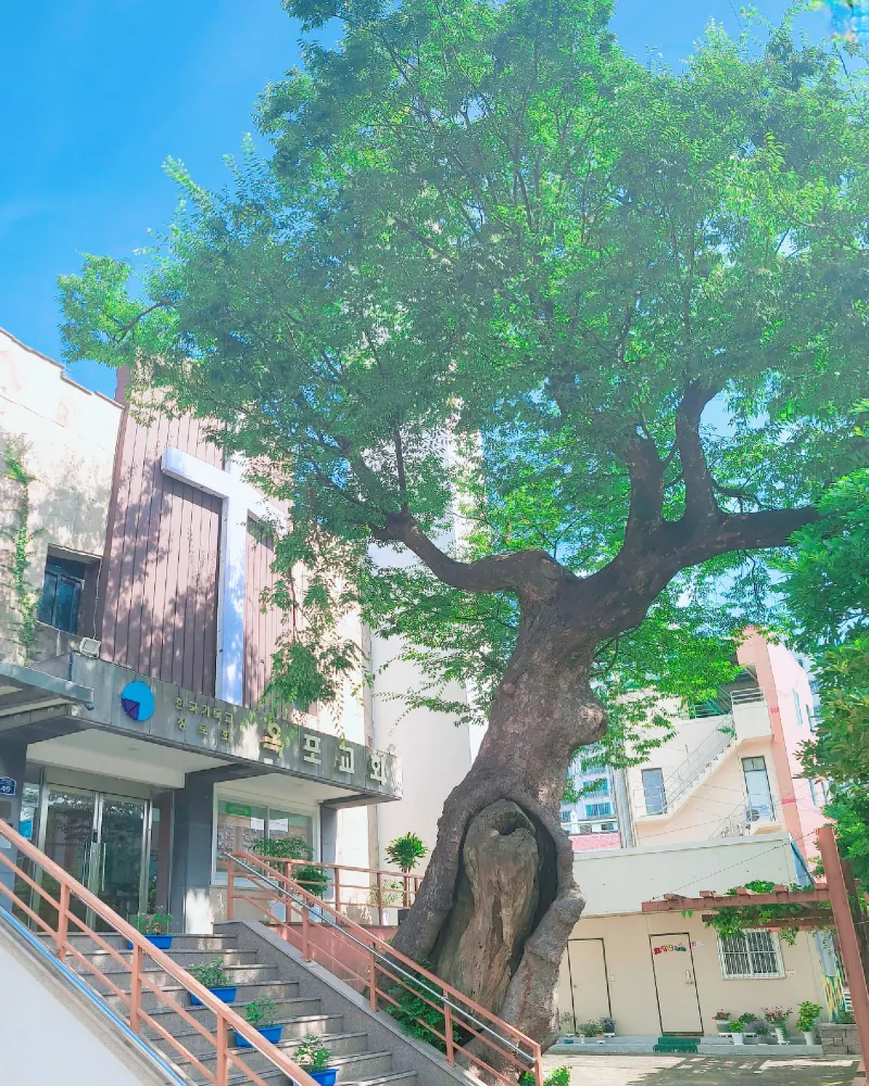 옥포교회