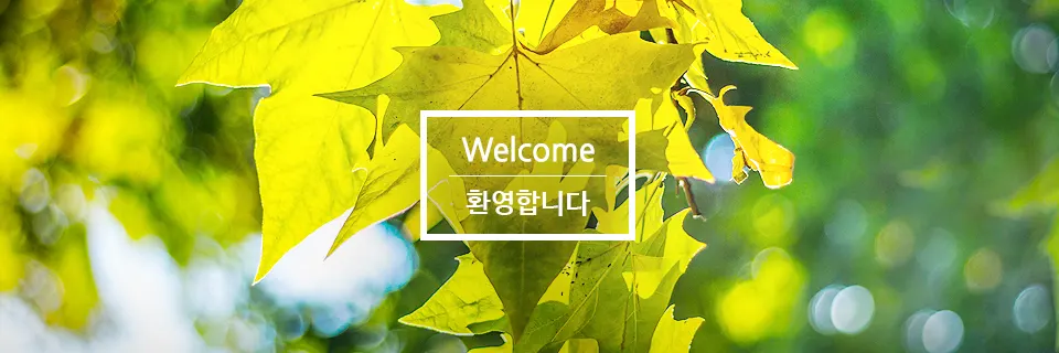 북광주교회
