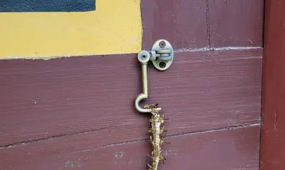 구룡사