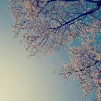 세종부동산