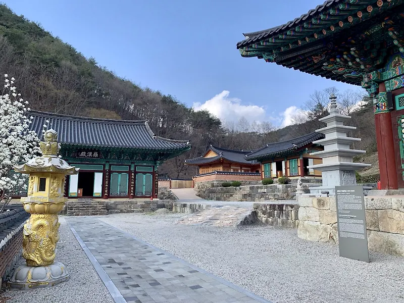 금당사