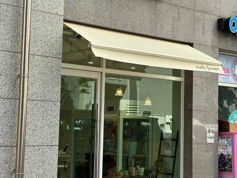 멜리플라워
