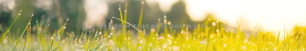 겨자씨교회